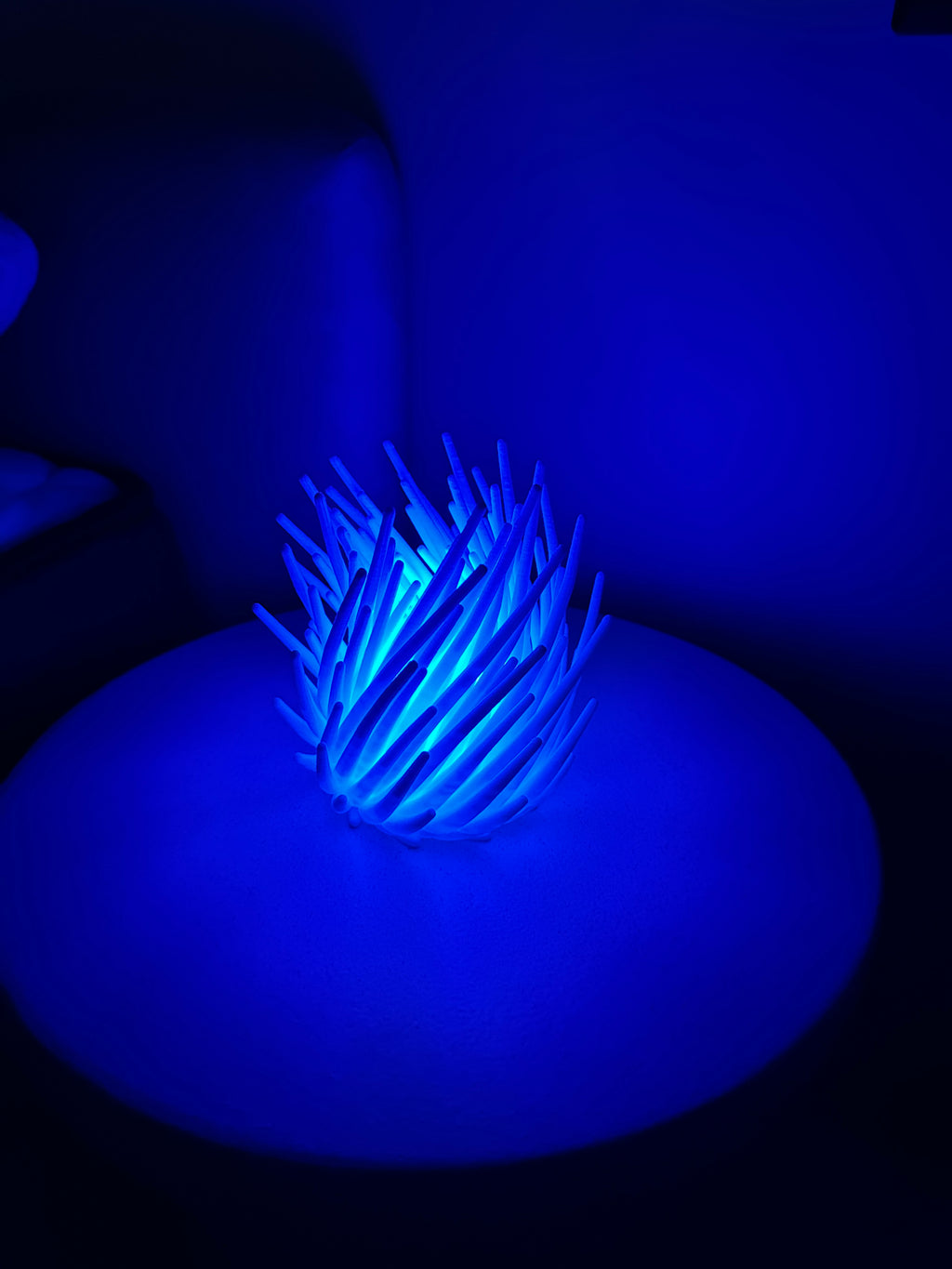 Coral - Lampka LED RGB