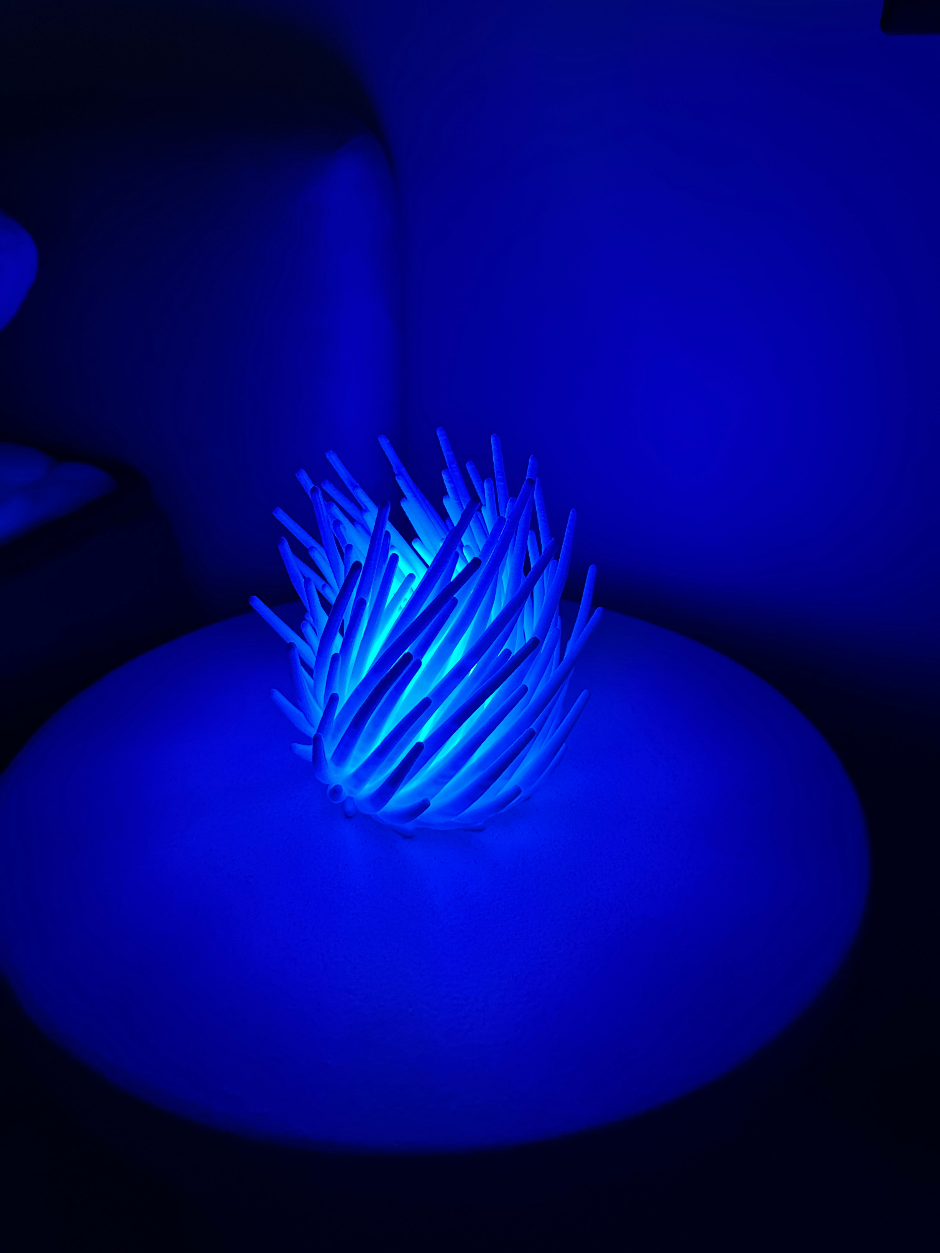 Coral - Lampka LED RGB