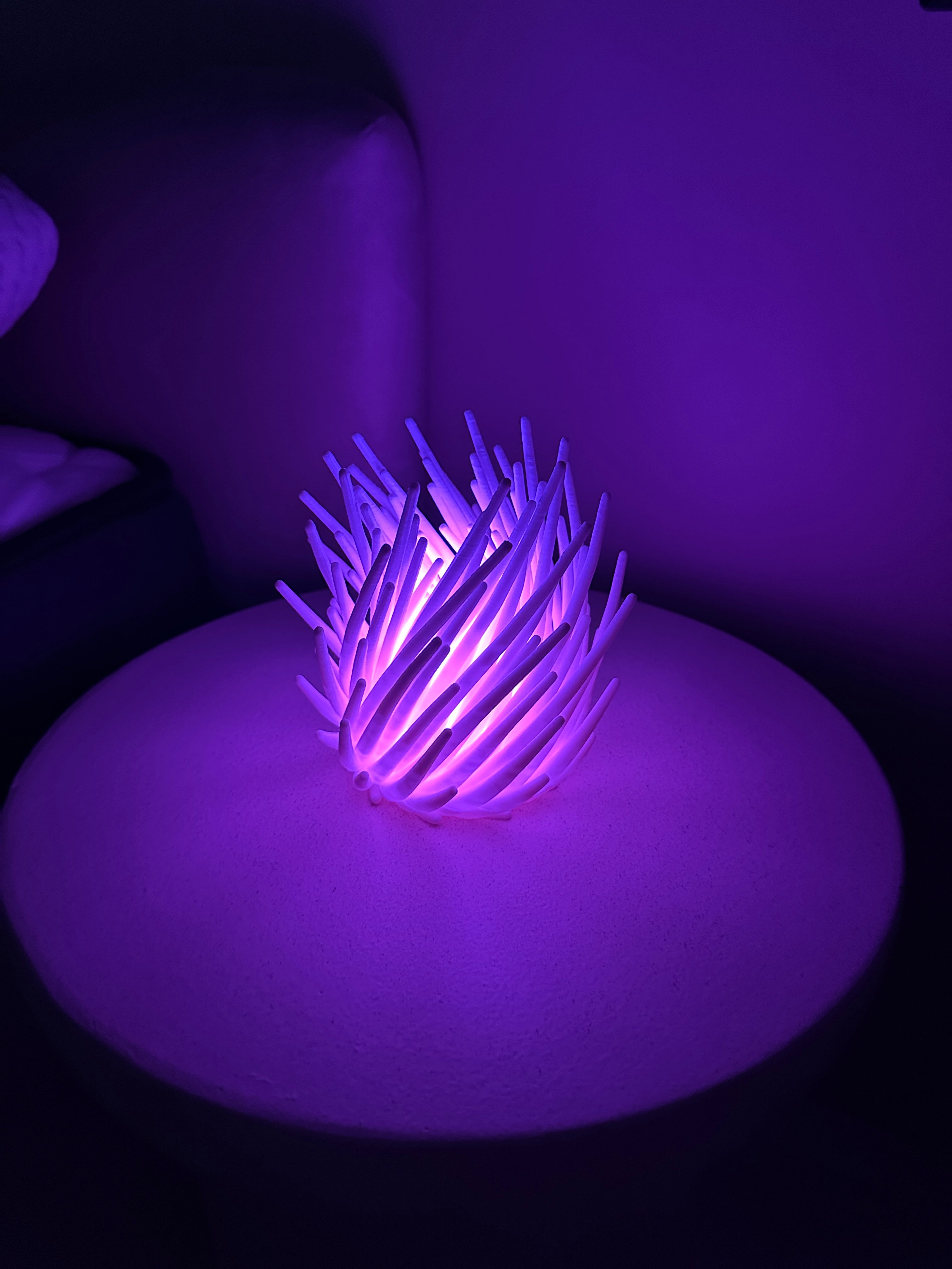 Coral - Lampka LED RGB