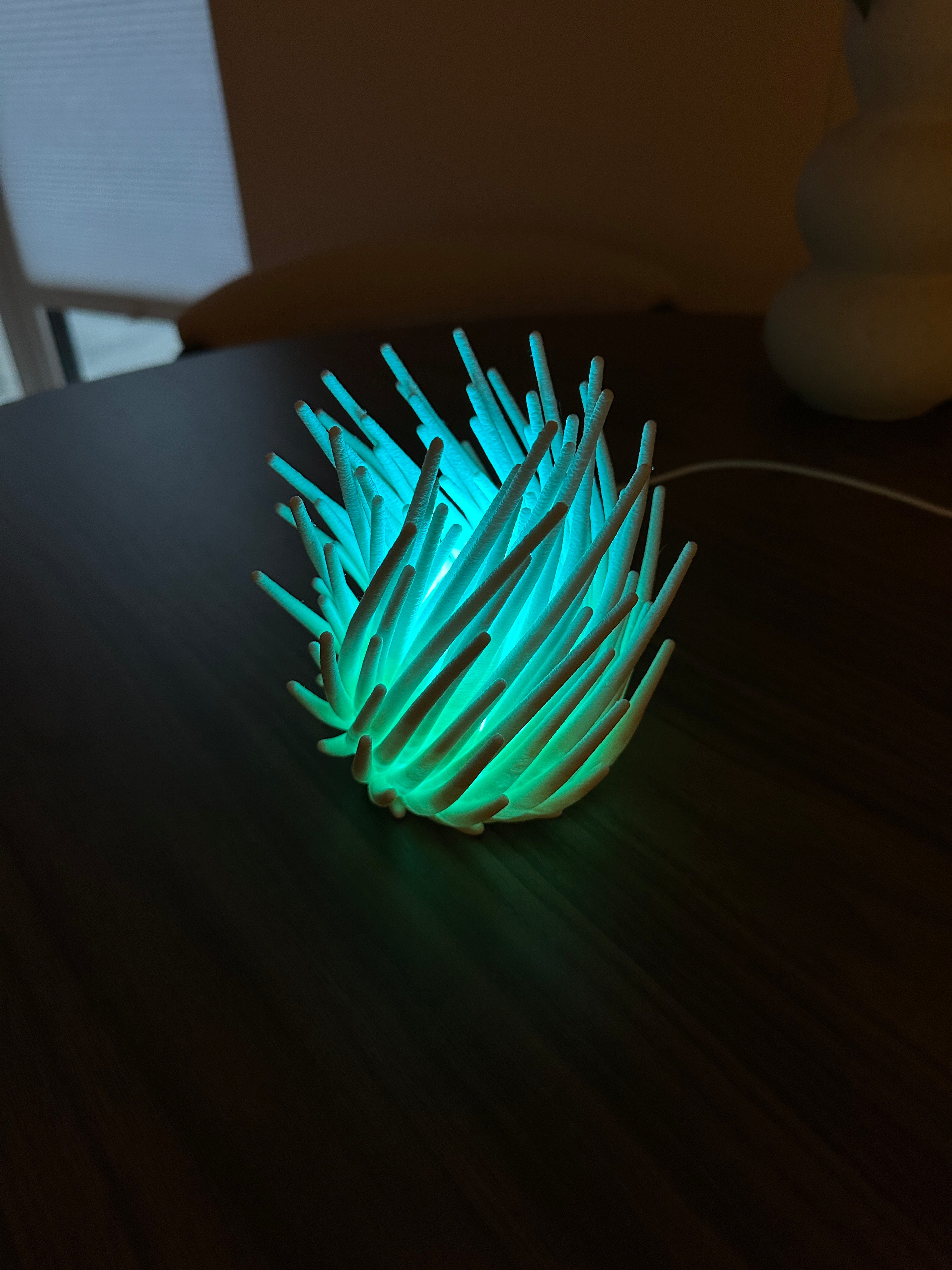 Coral - Lampka LED RGB